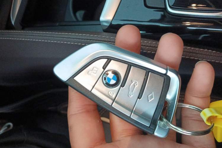 Used BMW 5 Series 2020 530Li Leading Edition Luxury Package