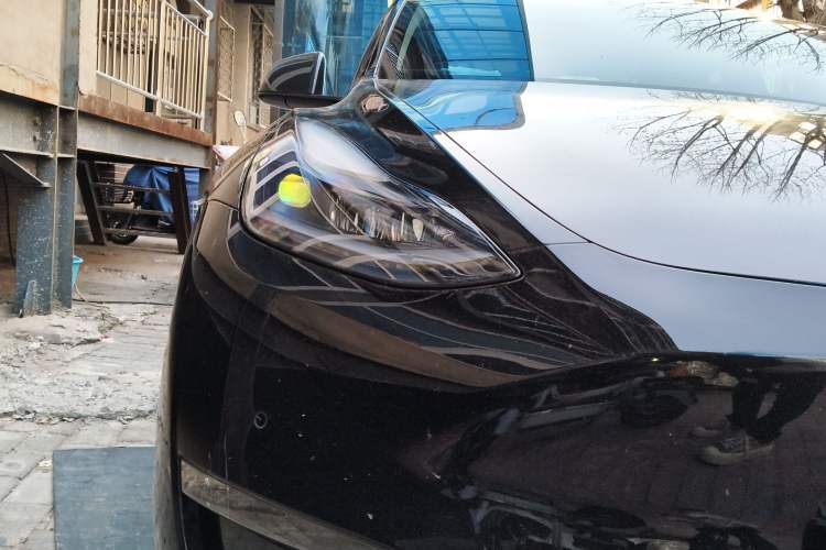 Used Tesla Model Y 2021 Standard Range Rear-Wheel Drive Version