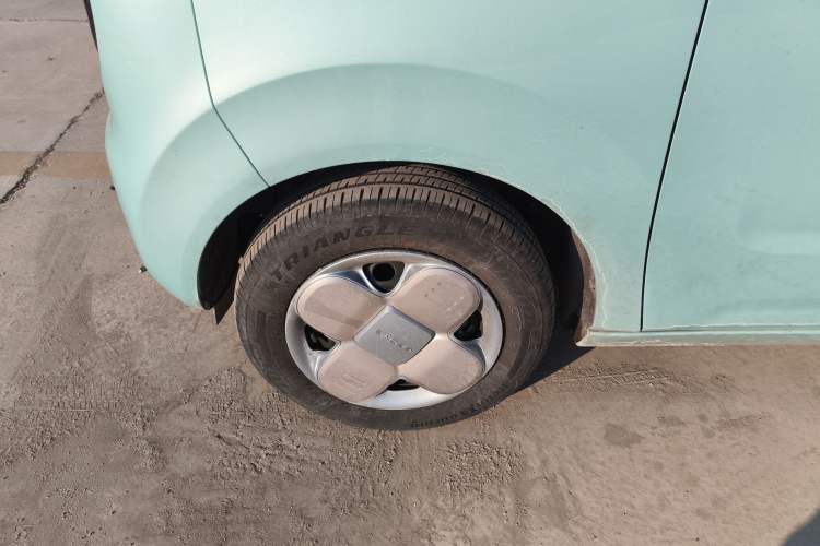 Used  Panda 2024 Panda Mini 200km Endurance Bear