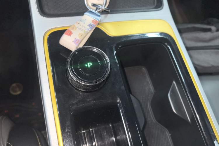 Used AION Y 2022 70 Enjoyment Edition Lithium Iron Phosphate