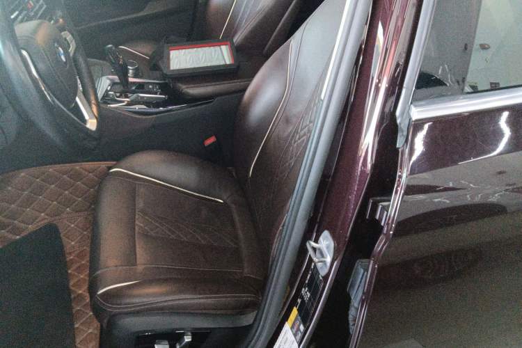 Used BMW 5 Series New Energy 2019 530Le Luxury Package