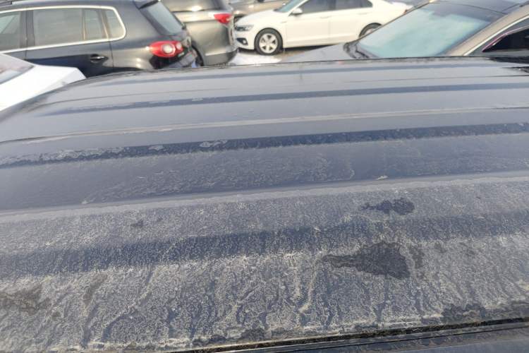 Used  Panda 2025 210km Panda Kart