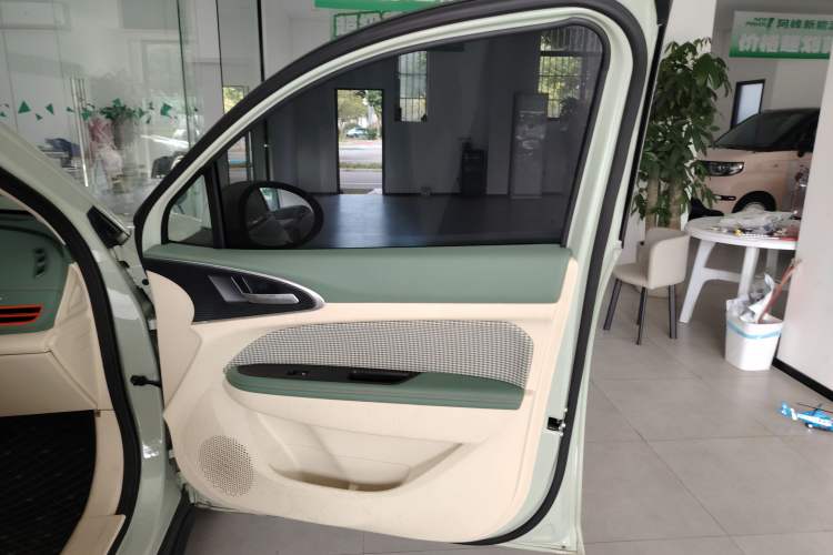 Used ORA Good Cat 2023 401 km Standard Range Luxury Version Lithium Iron Phosphate
