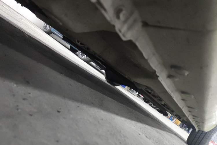 Used SOL E10X 2022 Flower Fairy Style Baby's Breath
