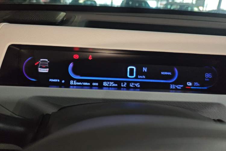 Used  Panda 2023 Panda Mini 200km Endurance Bear