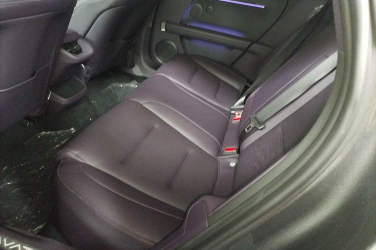 Used  06 2025 Ultra Pure Electric Edition
