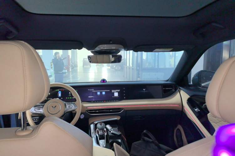 Used VOYAH FREE 2021 Four-Wheel Drive Standard Range-Extended Exclusive Luxury Package
