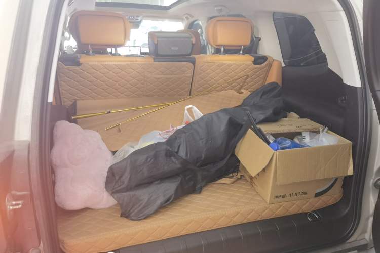 Used Tank 500 New Energy 2024 Hi4-T
