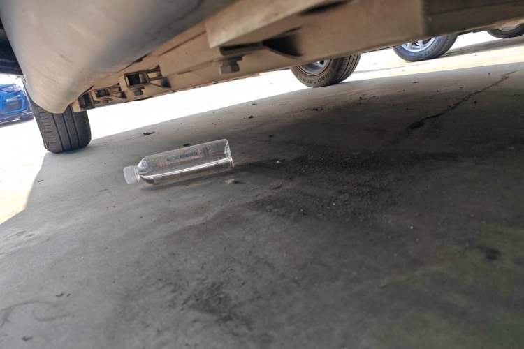 Used Chery Little Ant 2022 Sweet Pink Edition Half-Sugar Version Lithium Iron Phosphate 30 kW 301 km