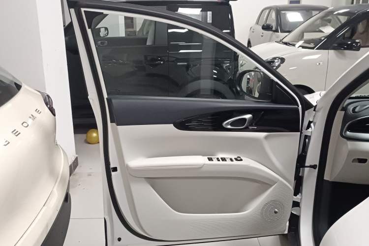 Used  Geome 2025 310km Youth Edition
