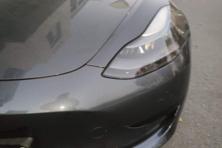 Used Tesla Model 3 2021 Standard Range Rear-Wheel Drive Upgraded Version 3D6