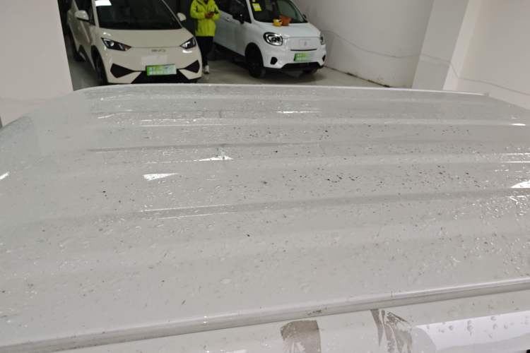 Used  Panda 2024 Panda Mini 200km Endurance Bear