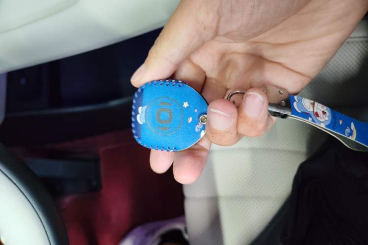 Used  Q07 2025 215 Prestige Edition
