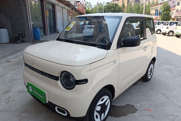 Used  Panda 2025 210 km – Yuanqi Bear
