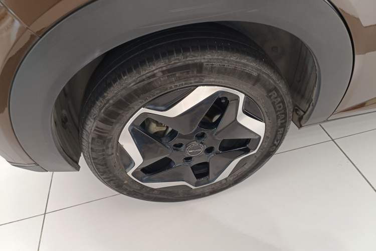 Used BYD Dolphin 2021 405 km Free Version
