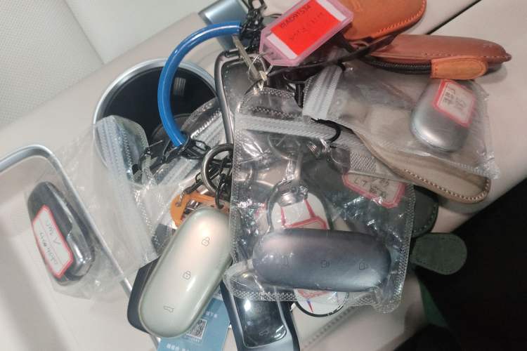 Used Li Auto L9 2024 Ultra Model
