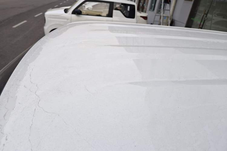 Used  Panda 2024 Panda Mini 200km Endurance Bear
