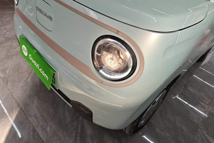 Used  Panda 2024 Panda Mini 200km Endurance Bear
