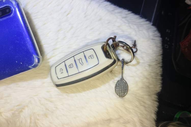 Used Haval H2s 2018 Blue Label 1.5T Dual-Clutch Fashion Edition
