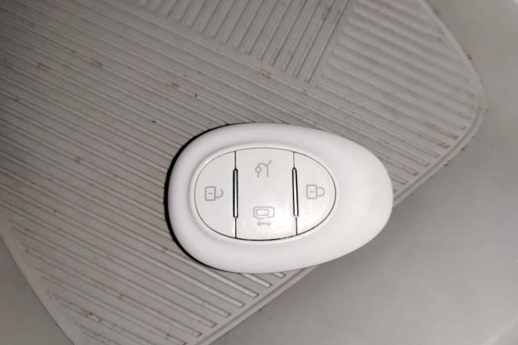 Used ARCFOX Kaola S 2024 AIR model