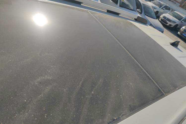 Used Haval DARGO 2021 2.0T DCT 4x4 Chinese Rural Dog Edition
