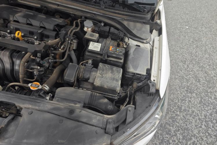 Used Hyundai Elantra 2019 1.5L CVT Smart & Luxurious Trim
