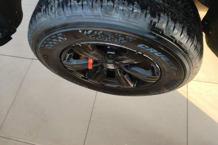 Used Tank 300 2024 2.0T Conqueror