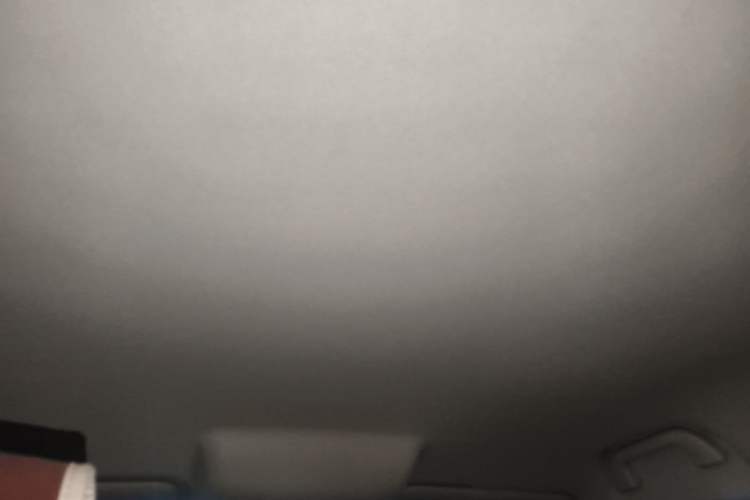 Used ORA Good Cat 2023 401 km Standard Range Luxury Version Lithium Iron Phosphate
