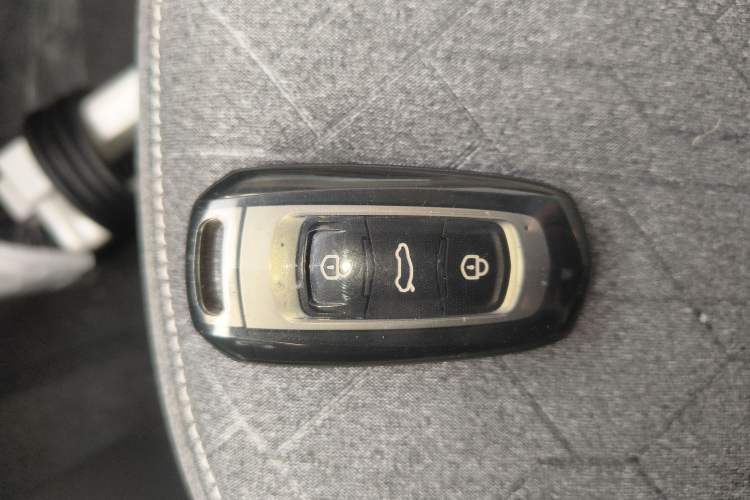 Used  Panda 2024 Panda Mini 200km Endurance Bear