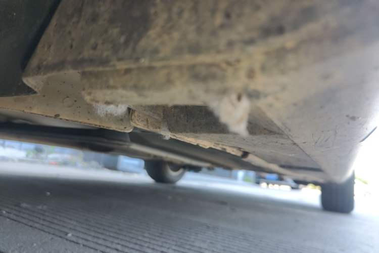 Used Ford Focus 2015 Hatchback 1.6L Automatic Fashion Edition
