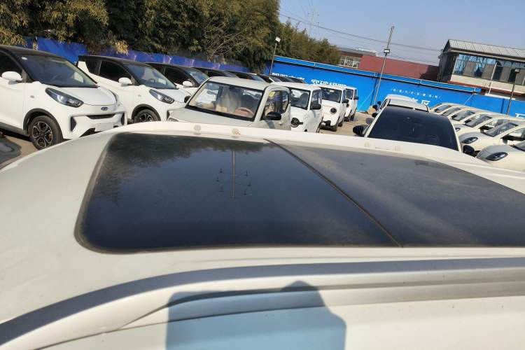 Used Venucia T60EV 2020 AI Enjoyment Model
