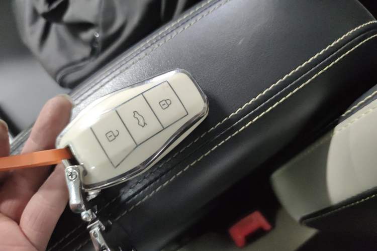 Used SOL E10X 2022 Flower Fairy Style Baby's Breath
