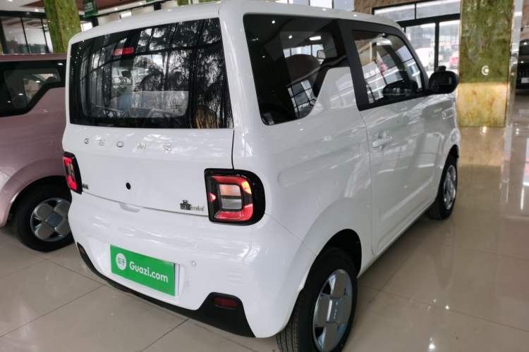 Used  Panda 2024 Panda Mini 200km Endurance Bear
