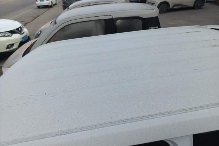 Used  Panda 2025 210 km – Yuanqi Bear