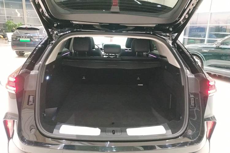 Used Wey Mocha New Energy 2024 Hi4 Four-Wheel Drive Long-Range Version
