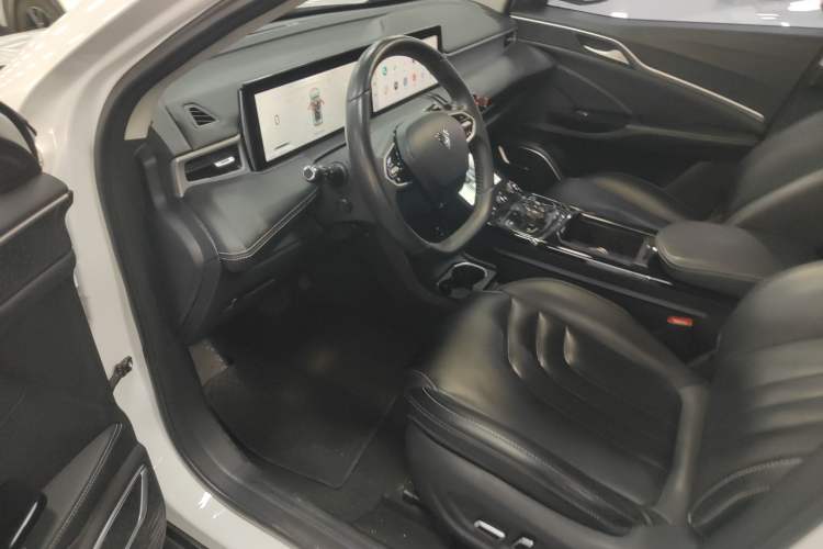 Used NETA U 2022 NETA U-Ⅱ 500 Industry Edition