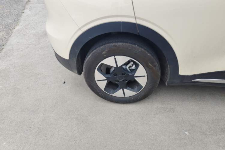 Used  Geome 2025 310km Dream Edition
