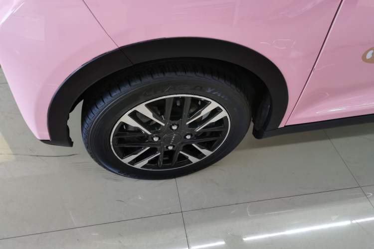 Used Chery Little Ant 2023 251km True Love Edition Lithium Iron Phosphate
