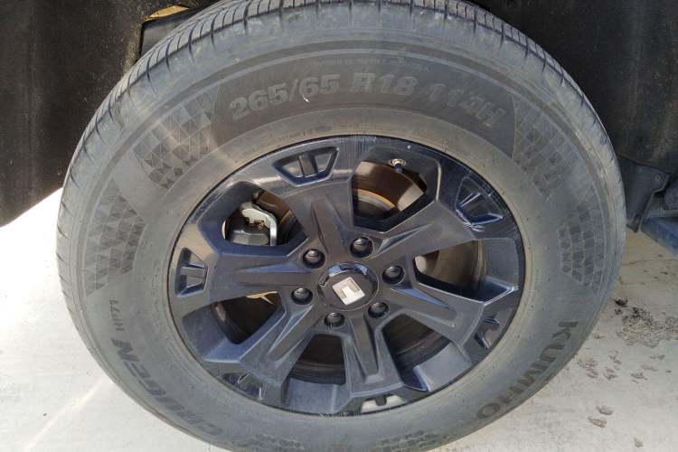 Used Tank 400 2025 2.0T Gasoline Version
