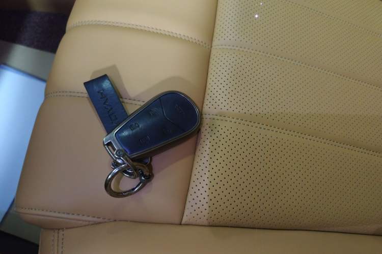 Used VOYAH Dream 2024 PHEV Extended-Range Premium Edition
