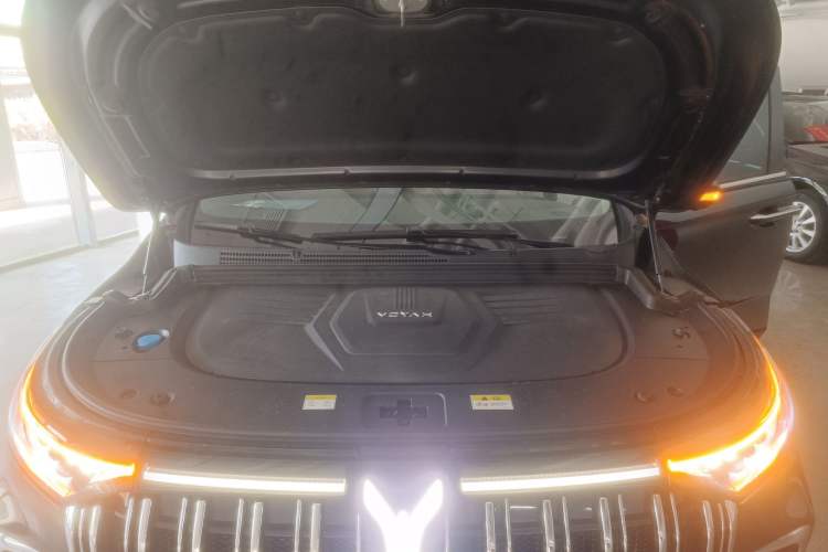 Used VOYAH Dream 2024 PHEV Extended-Range Premium Edition
