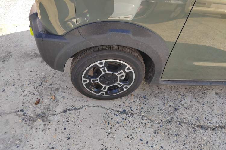 Used  Panda 2025 210km Panda Rider