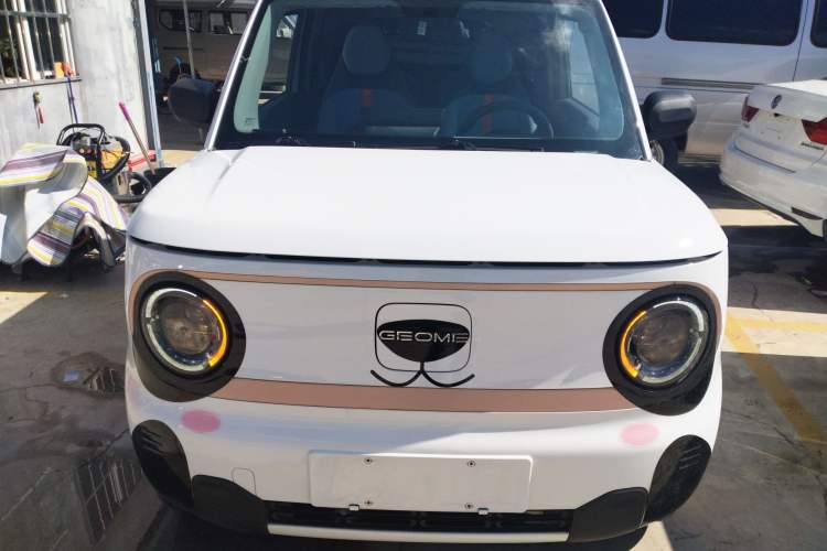 Used  Panda 2023 Panda Mini 200km Endurance Bear
