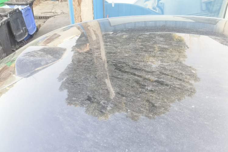 Used BYD Seal 2025 650 Intelligent Driving Version