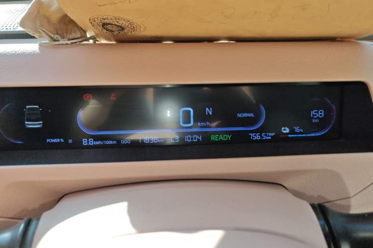 Used  Panda 2024 Panda Mini 200km Endurance Bear
