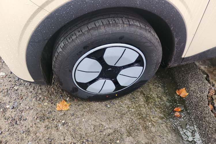 Used  Geome 2025 310km Youth Edition
