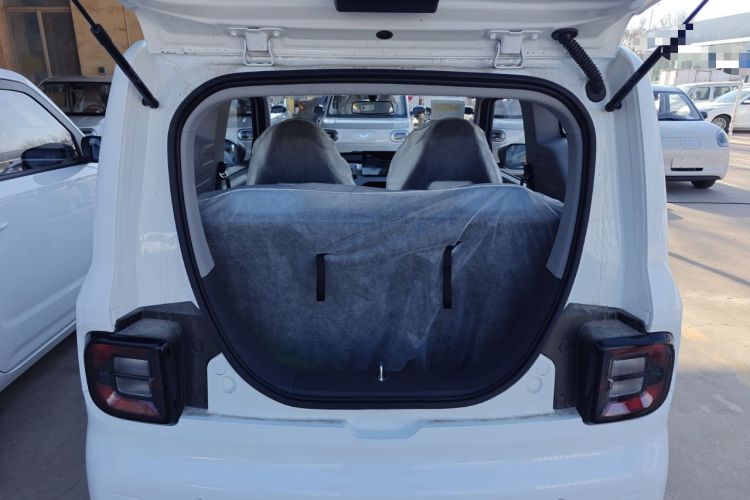 Used  Panda 2024 Panda Mini 200km Endurance Bear