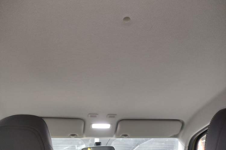 Used  Panda 2024 200km Panda Rider