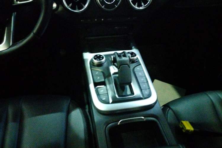 Used Tank 300 2024 2.0T Conqueror
