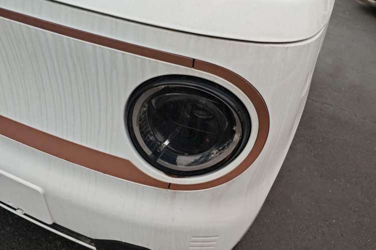 Used  Panda 2024 Panda Mini 200km Endurance Bear
